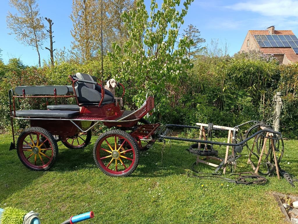 Marathon koets+ gareel, Dieren en Toebehoren, Gebruikt, Marathonwagen, Paard of Pony