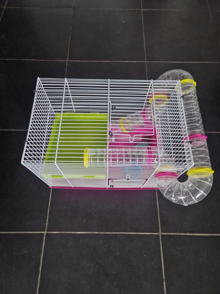 Cage hamster, Enlèvement, Comme neuf, Cage, Hamster