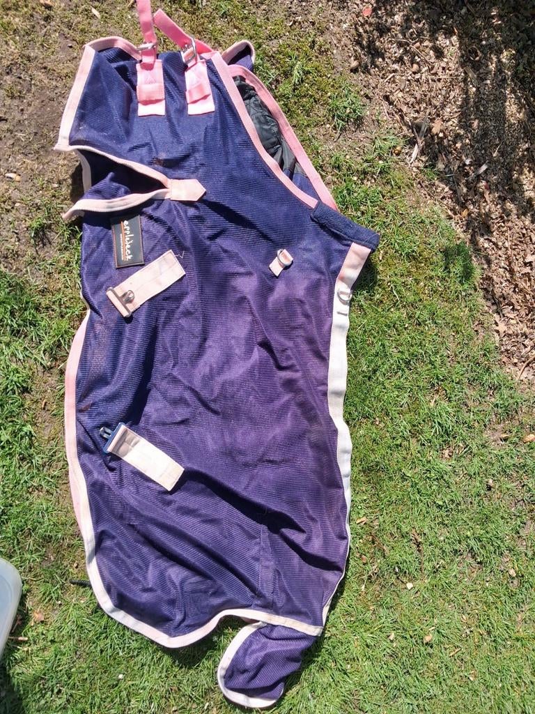 Vliegendeken shetlander 65/115, Animaux & Accessoires, Chevaux & Poneys | Couvertures & Couvre-reins, Shetlander/Mini, Couverture anti-mouches