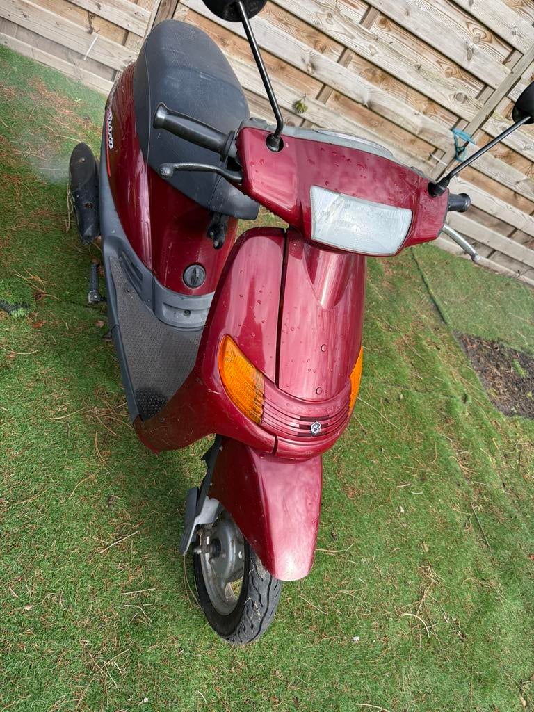 baja spirit 2takt scooter In België vrij zeldzaam mode, Vélos & Vélomoteurs, Scooters | Piaggio, Enlèvement ou Envoi, Comme neuf