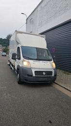 Camionnette Ducato Ducato, Entreprise, Achat, Ducato