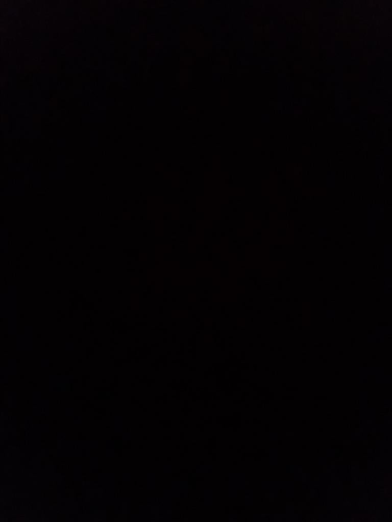 Ik Ben een katten en hondden verzorger of wandelaar