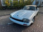 Jaguar XJ-S 4.0 XJS Cabriolet, Cuir, Achat, Beige, Entreprise