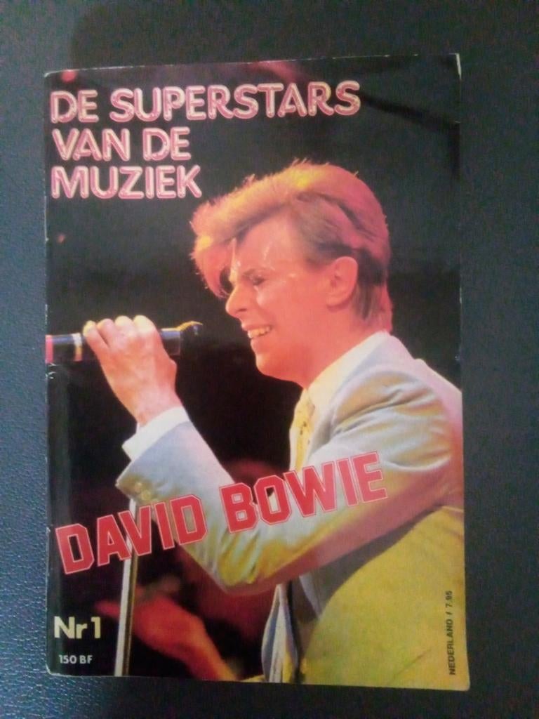 Boek over David Bowie, Ophalen of Verzenden
