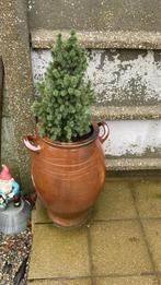 Keulse grespot, Gebruikt, Rond, Balkon, Aardewerk