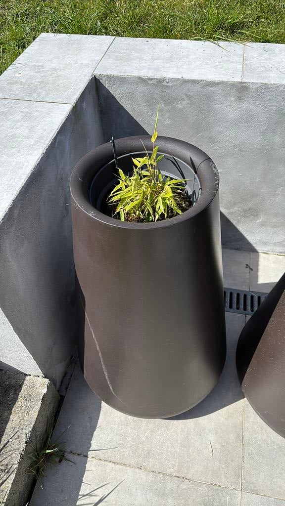 Set van 2 grote bamboedozen - bruine kleur, Ophalen