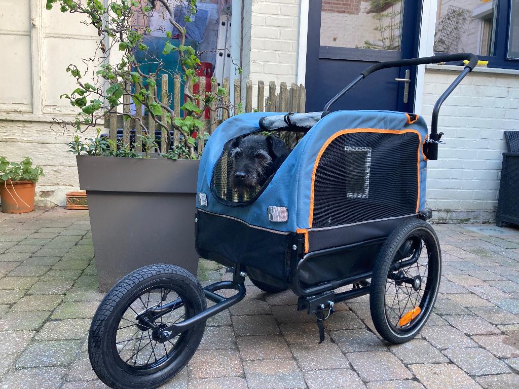 Fietskar hond, Fietsen en Brommers, Ophalen, Gebruikt, Hondenkar, Opvouwbaar