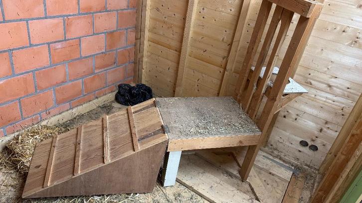 Gratis melkstand voor geiten, Dieren en Toebehoren, Schapen, Geiten en Varkens, Geit, Vrouwelijk