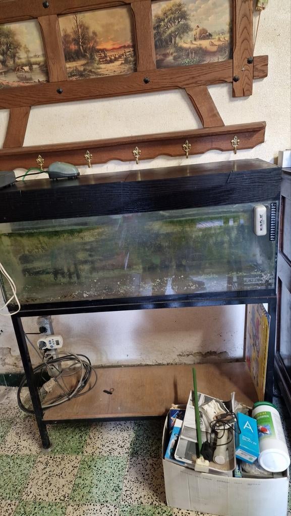 Aquarium, Enlèvement