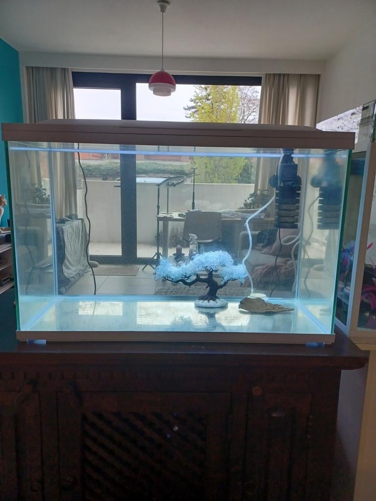 Nieuw Aquarium (2mnd oud) + toebehoren, Dieren en Toebehoren, Vissen | Aquaria en Toebehoren, Nieuw, Decoratie, Inclusief toebehoren