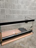 Terrarium 100x50x50, Ophalen