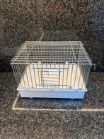 Oiseaux en cage pour bébés, Animaux & Accessoires