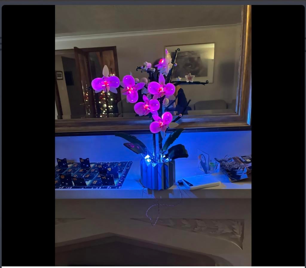 Lightkit voor Lego Orchidee set nr 10311, Kinderen en Baby's, Ophalen, Lego