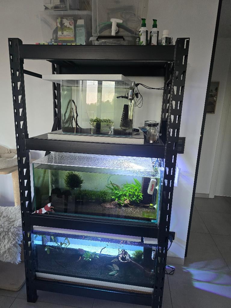 Aquarium rek, Dieren en Toebehoren, Ophalen, Inclusief vissen, Zo goed als nieuw, Overige typen