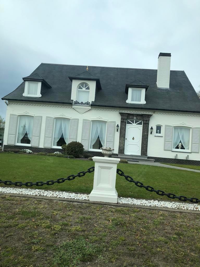 KALEI en Schilderwerken Betaalbaar Perfecte eind afwerking, Services & Professionnels, Plâtriers & Carreleurs, Garantie