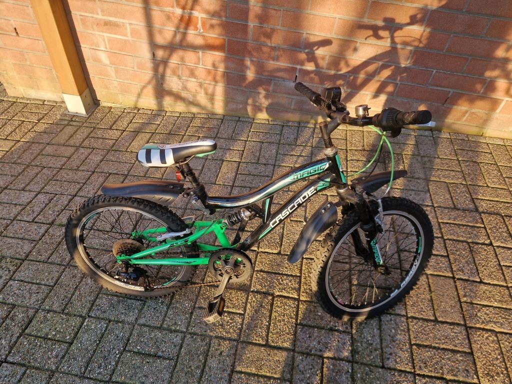 Kinder fiets, Enlèvement, 20 pouces