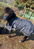 Halve stal !!!, Dieren en Toebehoren, Met stamboom, Niet van toepassing, Springpony, Hengst