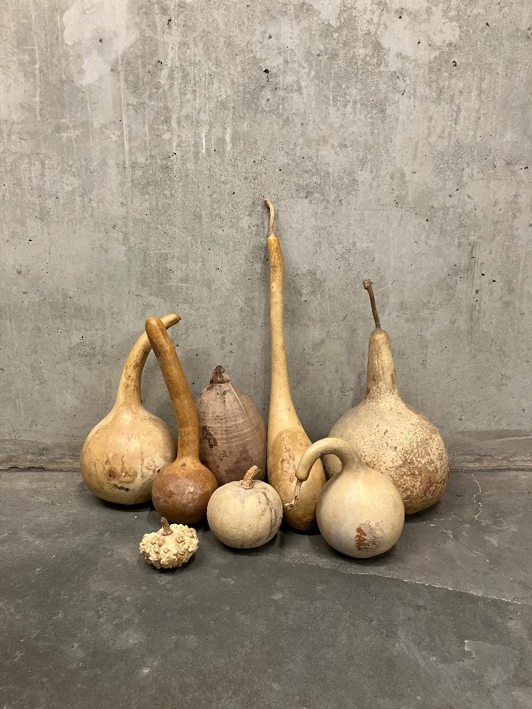 verzameling gedroogde kalebassen één pompoen & één kokosnoot, Maison & Meubles, Accessoires pour la Maison | Fleurs séchées, Enlèvement ou Envoi