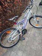 3 jongensfietsen, Ophalen