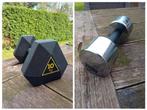 Dumbbells, Sport en Fitness, Fitnessmaterialen, Gebruikt, Dumbbell, Ophalen