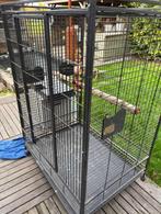 papagaaien kooi, Dieren en Toebehoren, Vogels | Hokken en Kooien, Ophalen, Gebruikt, Metaal, Overige typen