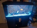 Visbak met toebehoren met bijhorende kast, Dieren en Toebehoren, Ophalen, Gebruikt