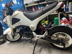 Honda Msx 125 (Grom), Motoren, LED Verlichting, Particulier, 125 cc, 11 kW of minder