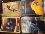 Papegaai en parkieten tijdschriften, Dieren en Toebehoren, Vogels | Parkieten en Papegaaien