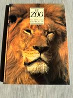 Boek “Zoo van Antwerpen in prenten”, Boeken, Natuur, Nieuw, Ophalen of Verzenden, Overige onderwerpen