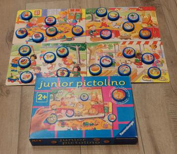 Junior Pictolino  beschikbaar voor biedingen