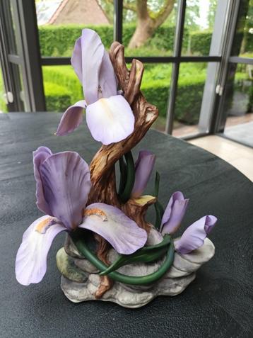 Porcelaine de Capodimonte, Italie, iris bleus