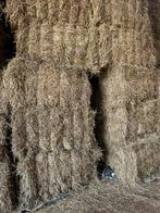 Grote pakken hooi, Dieren en Toebehoren, Dierenvoeding, Ophalen