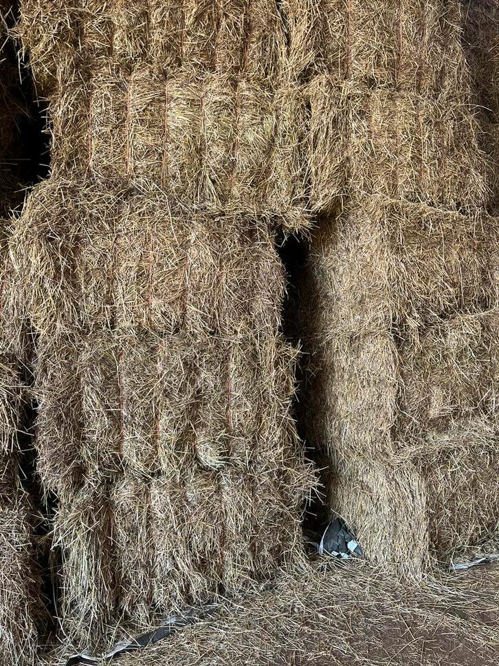 Grote pakken hooi, Dieren en Toebehoren, Dierenvoeding, Ophalen