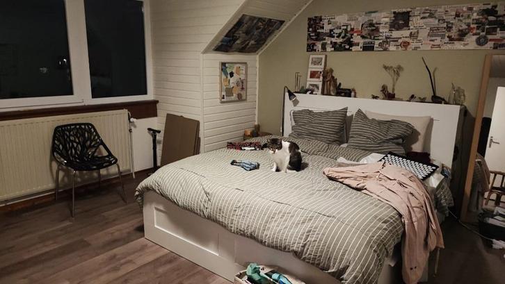 Kamer te huur (cohousing), Immo, Appartementen en Studio's te huur, Hasselt, 20 tot 35 m²