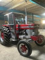Massey - Ferguson Oldtimer tractor, Zakelijke goederen, Landbouw | Tractoren, Ophalen, Oldtimer, Tot 80 Pk, Massey Ferguson