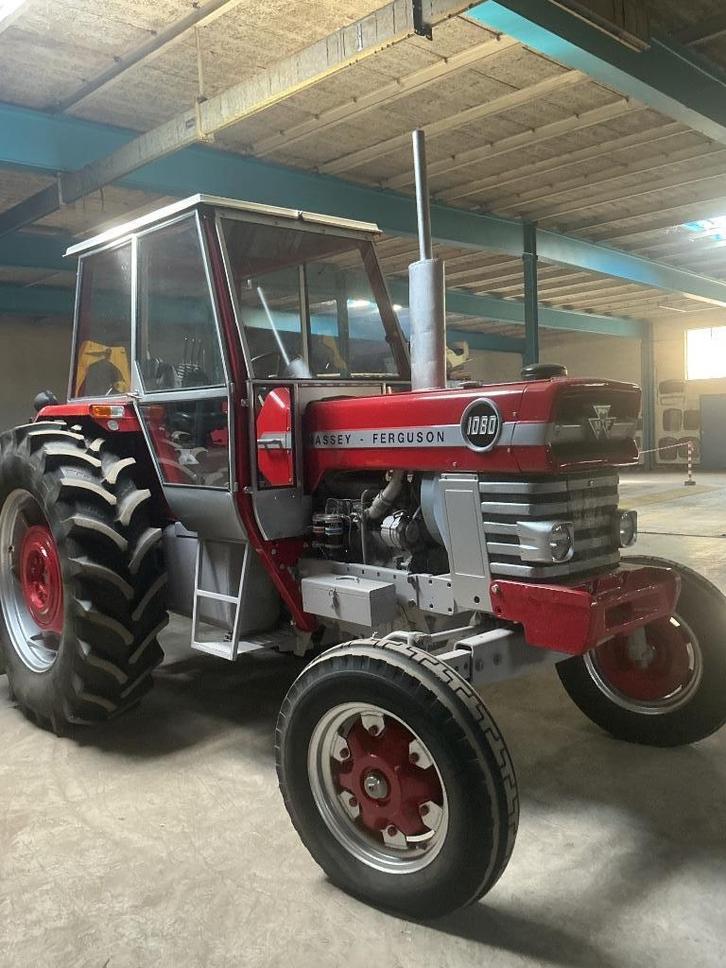 Massey - Ferguson Oldtimer tractor, Zakelijke goederen, Landbouw | Tractoren, Massey Ferguson, tot 80 Pk, Oldtimer, Ophalen
