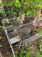 Clapier à lapin, Dieren en Toebehoren, Knaagdieren en Konijnen | Toebehoren, Overige typen, Zo goed als nieuw