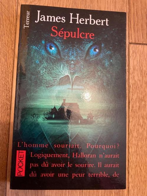 Sépulcre de James Herbert, Boeken, Fantasy, Zo goed als nieuw, Ophalen of Verzenden