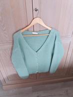 DAMES GILET AMELIE&AMELIE M42, Kleding | Dames, Blouses en Tunieken, Ophalen of Verzenden, Nieuw