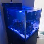 Zeeaquarium Red Sea 100L + opslagruimte, Dieren en Toebehoren, Ophalen, Gebruikt, Leeg aquarium