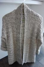 Gilet épais sable/argenté "ESPRIT" Envoi compris, Esprit, Verzenden, Gedragen