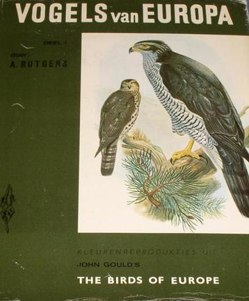 Boek: Vogels van Europa door A.Rutgers beschikbaar voor biedingen