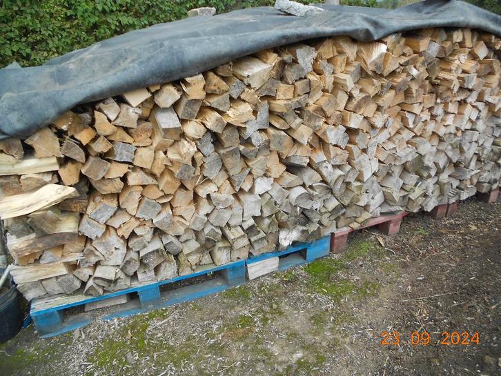 droog brandhout, Tuin en Terras, Brandhout, Blokken, Ophalen of Verzenden