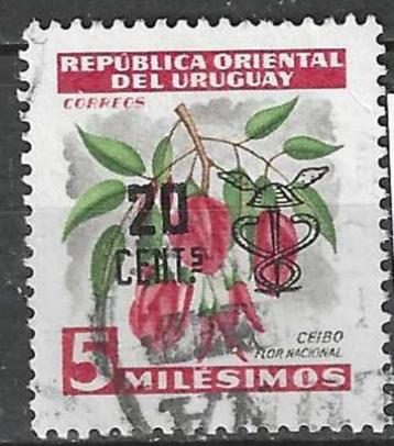 Uruguay 1954 - Yvert 623 - Erythrina crista-galli (ST)