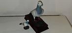 Reproduction pigeon voyageuravec son petit taille réelle, Pigeon voyageur, Sexe inconnu