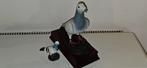 Reproduction pigeon voyageuravec son petit taille réelle, Animaux & Accessoires, Sexe inconnu, Pigeon voyageur