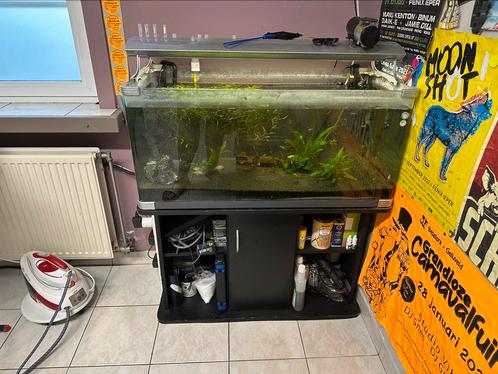 Aquaruim 1m incl vissen en toebehoren, Dieren en Toebehoren, Vissen | Aquaria en Toebehoren, Gebruikt, Overige typen, Ophalen