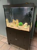 Aquarium met toebehoren te koop, Dieren en Toebehoren, Ophalen