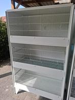2 kweekkooien, Ophalen, Zo goed als nieuw