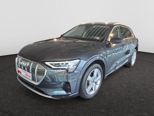 Audi e-tron E-Tron 95 kWh 55 Quattro Advanced, Auto's, Audi, Overige modellen, ABS, Airbags, Airconditioning, Cruise Control, Elektrische ramen